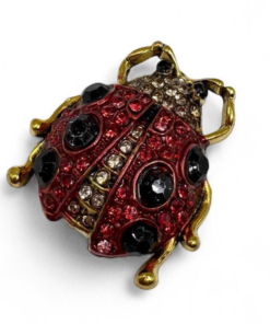 Lucky Ladybug Brooch