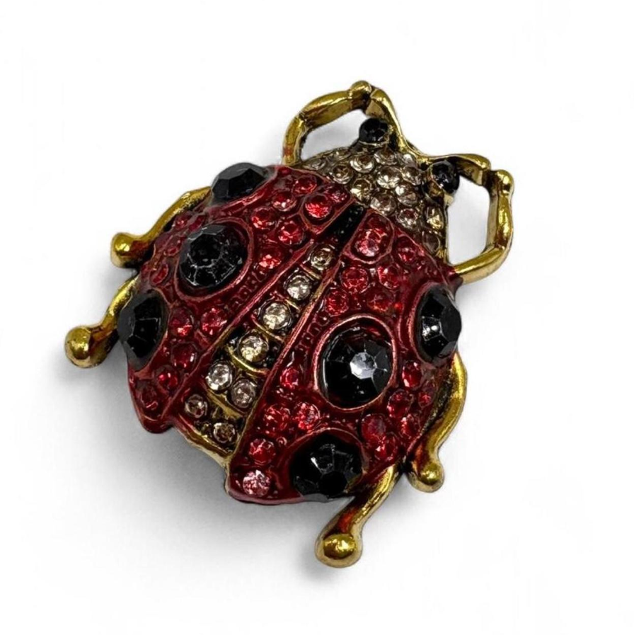 Lucky Ladybug Brooch